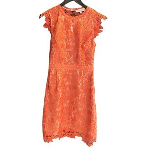 Reiss Open Back Crochet Lace Dress